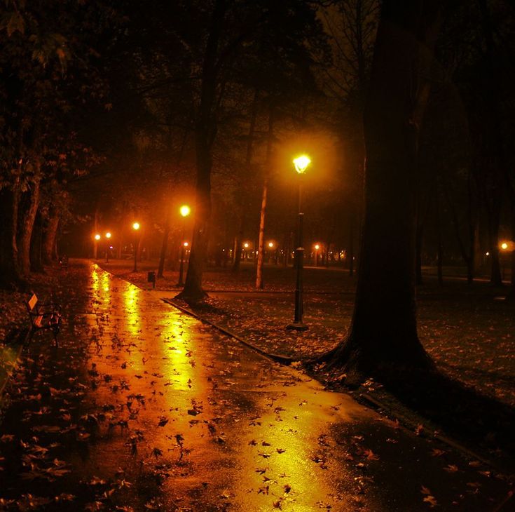 an empty park at night with street lights and leaves on the ground in the foreground