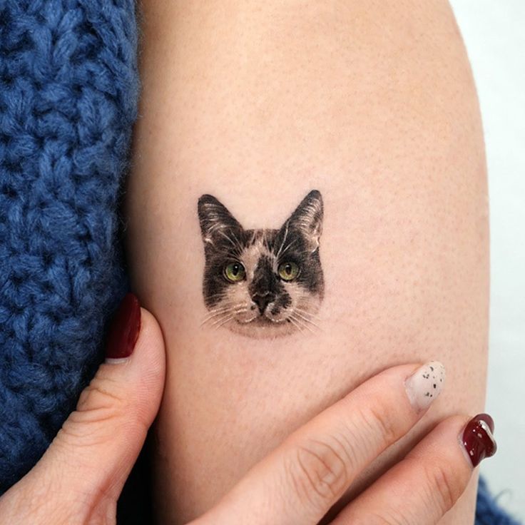 a woman's arm with a cat tattoo on it