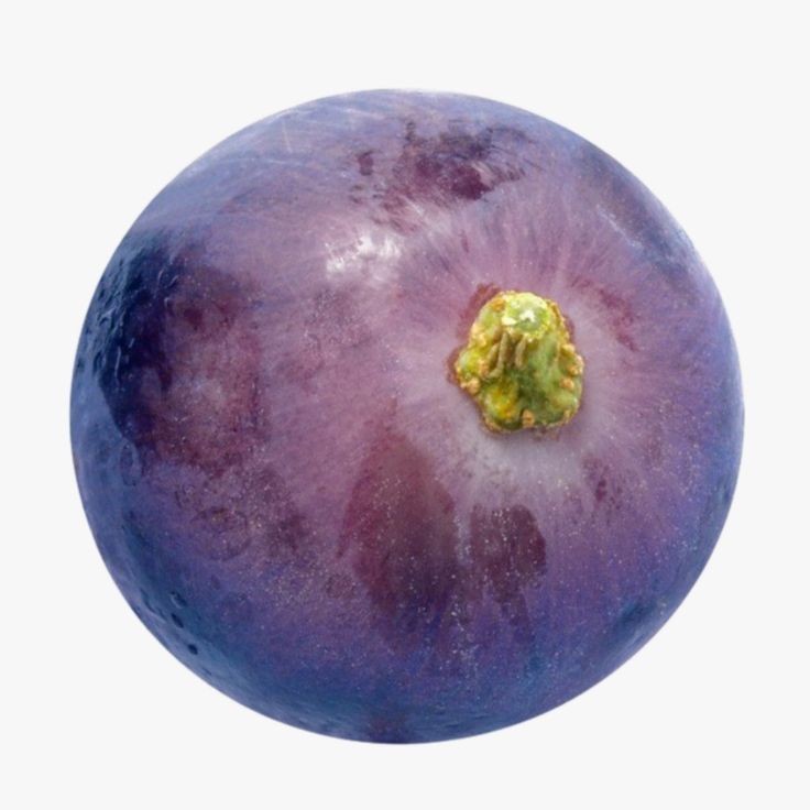 a close up of a blueberry on a white background with a yellow spot in the center