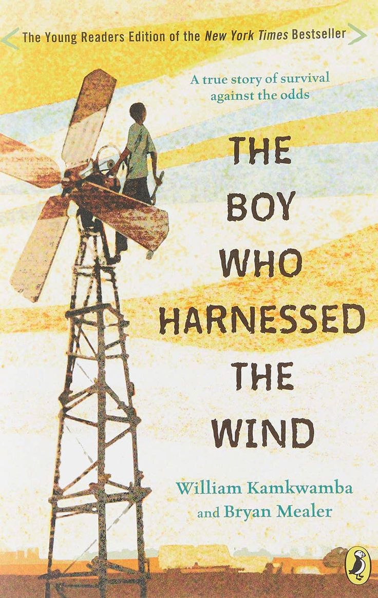 the boy who harnessed the wind