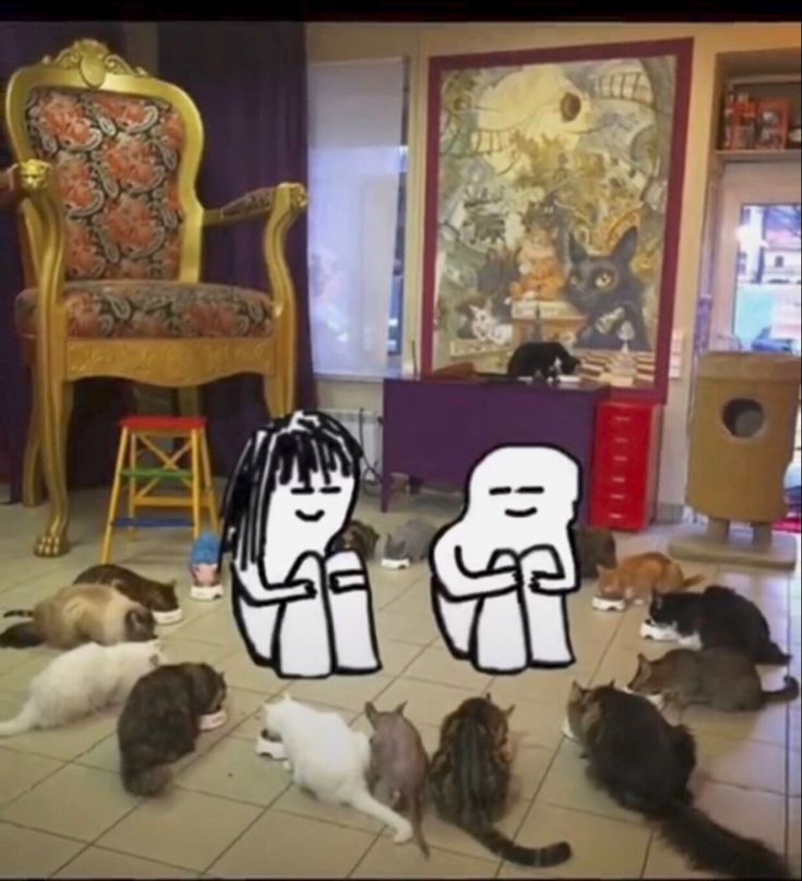 a group of cats sitting on top of a floor next to each other