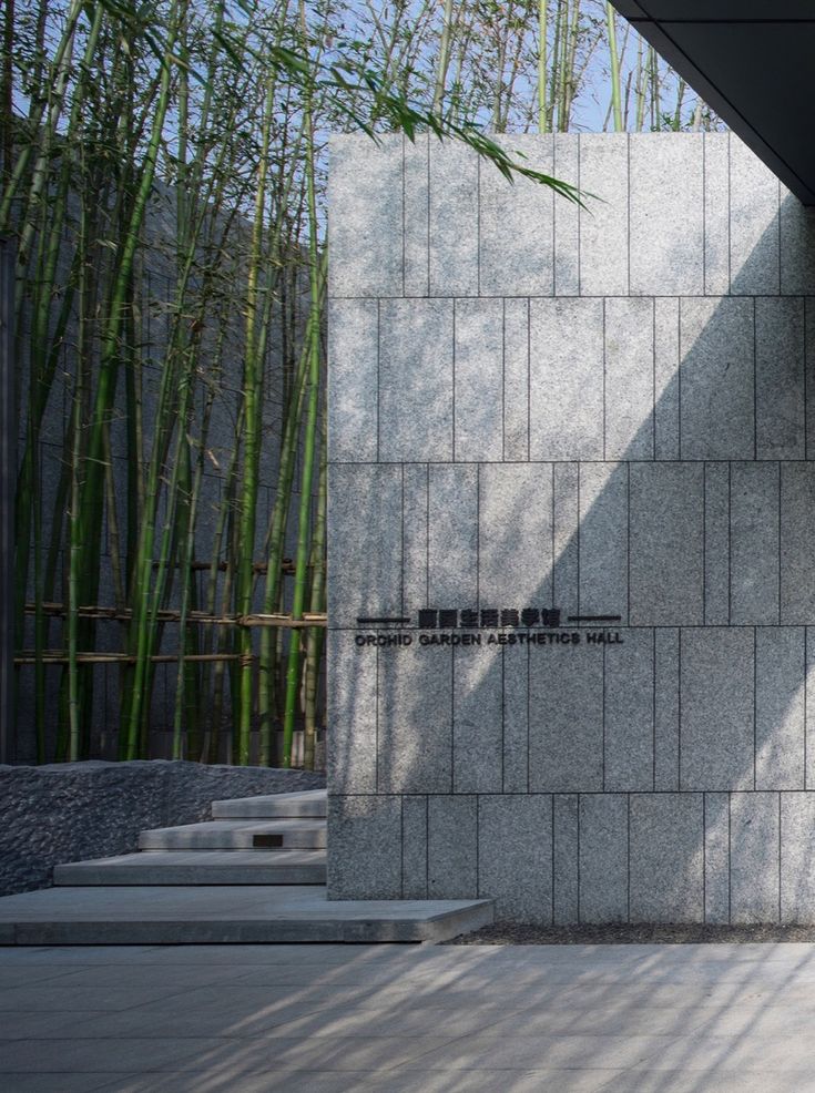 a tall bamboo tree sitting next to a building