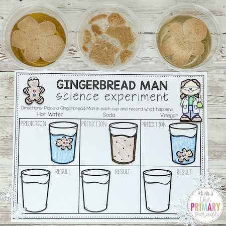 the gingerbread man science experiment is shown on a table with three cups and two spoons