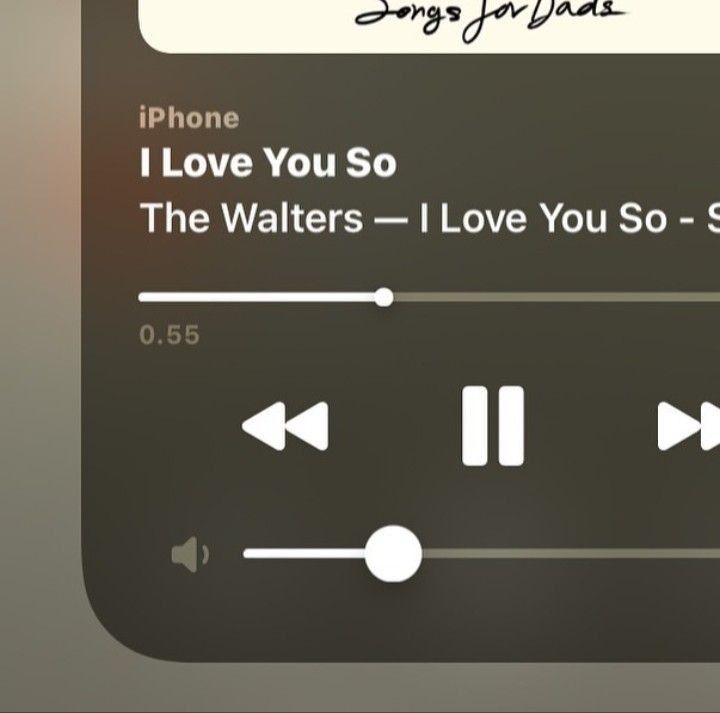 i love you so, the walters - i love you so song playlist