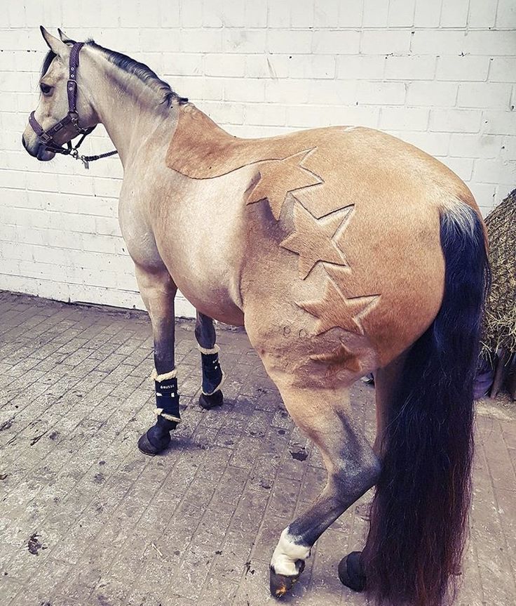 a brown horse standing on top of a brick floor