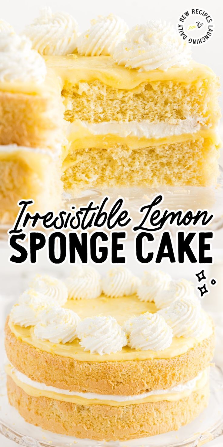 Lemon Sponge Cake Sponge Cake Recipe Best, Lemon Cake Mix Recipe, Lemon Chiffon Cake, Lemon Sponge Cake, Lemon Curd Cake, Sweet Whipped Cream, Lemon Layer Cakes, Lemon Sponge, Lemon Dessert Recipes