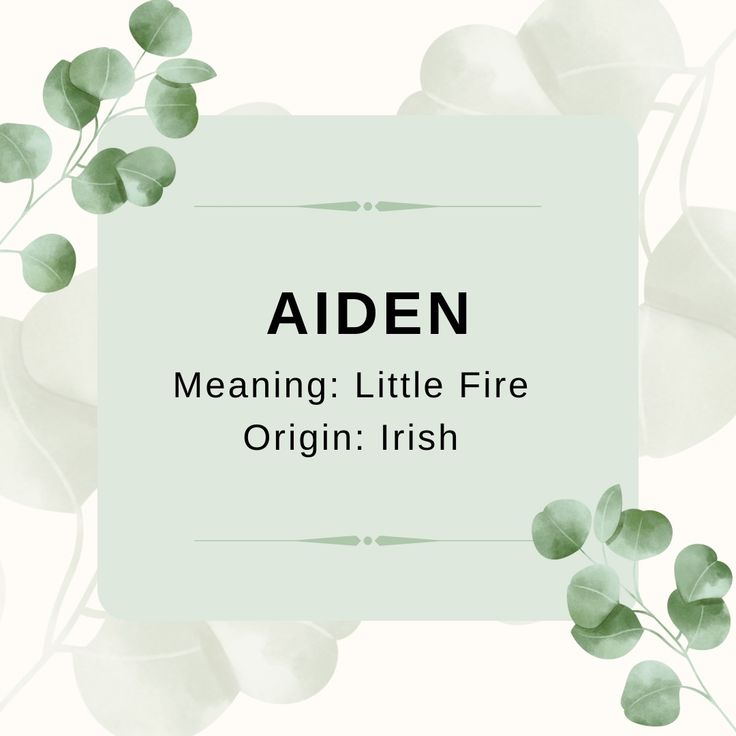 the words aden meang little fire origin irish on a white background with green leaves