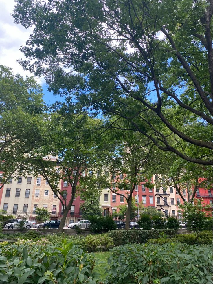 trees and bushes are in the foreground, with apartment buildings in the background on a sunny day