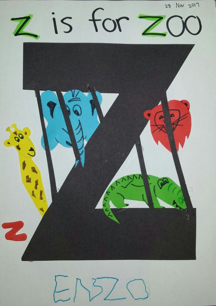 the letter z is for zoo with animals