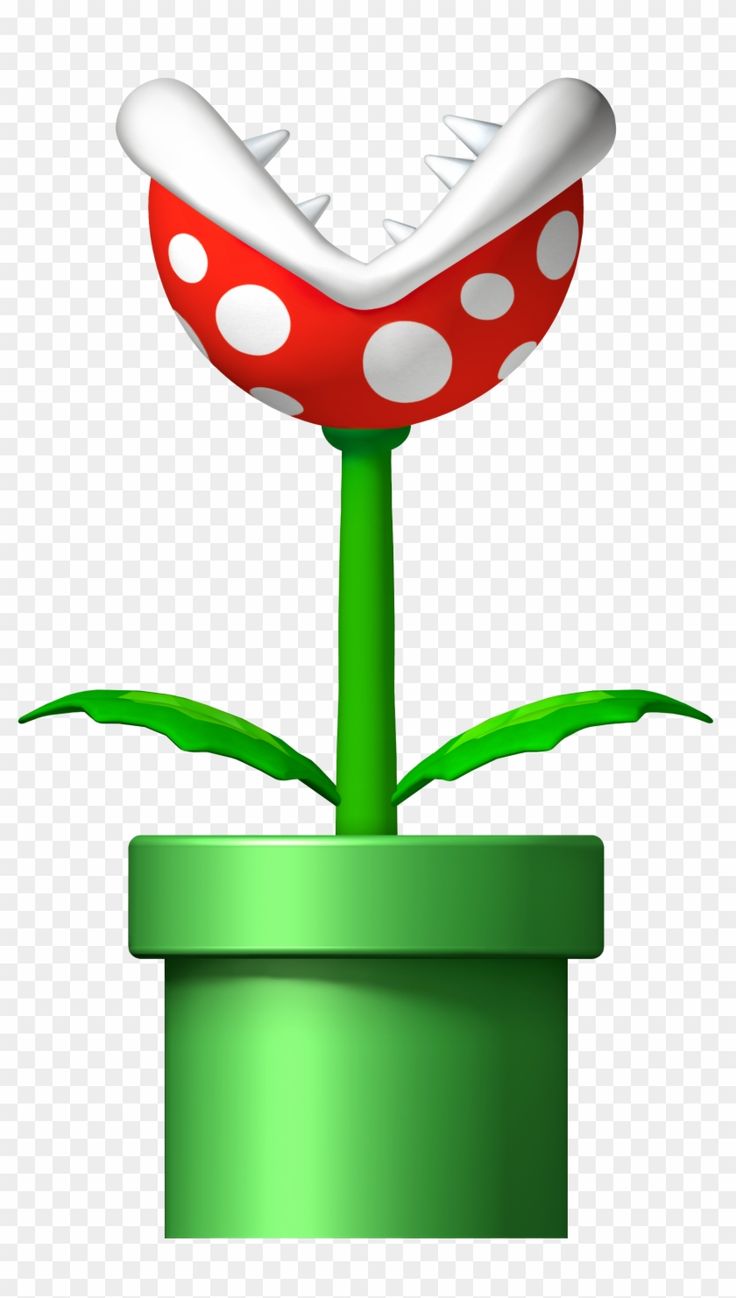 a red and white flower in a pot with green leaves on the bottom, transparent background