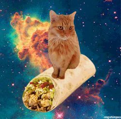 a cat sitting on top of a burrito in the middle of space with an image of a galaxy behind it