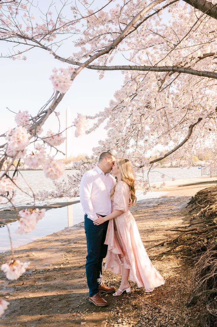 Cherry Blossom Engagement Session Washington, DC Jefferson memorial Kathleen Marie Ward Photography. Dreamy, romantic engagement session. Cherry blossom season washington, dc tidal basin. where to see the cherry blossoms in washington, dc. elegant timeless engagement photos. what to wear to an engagement session. travel for your engagement session.best of washington dc wedding photography. Cherry Blossom Engagement Photos, Washington Dc Cherry Blossoms, Dc Cherry Blossoms Photography, Dc Cherry Blossom Engagement Photos, Washington Dc Wedding Photos, Cherry Blossom Washington Dc, Couple Under Cherry Blossom Tree, Engagement Photo Shoot Poses, Cherry Blossoms In Dc