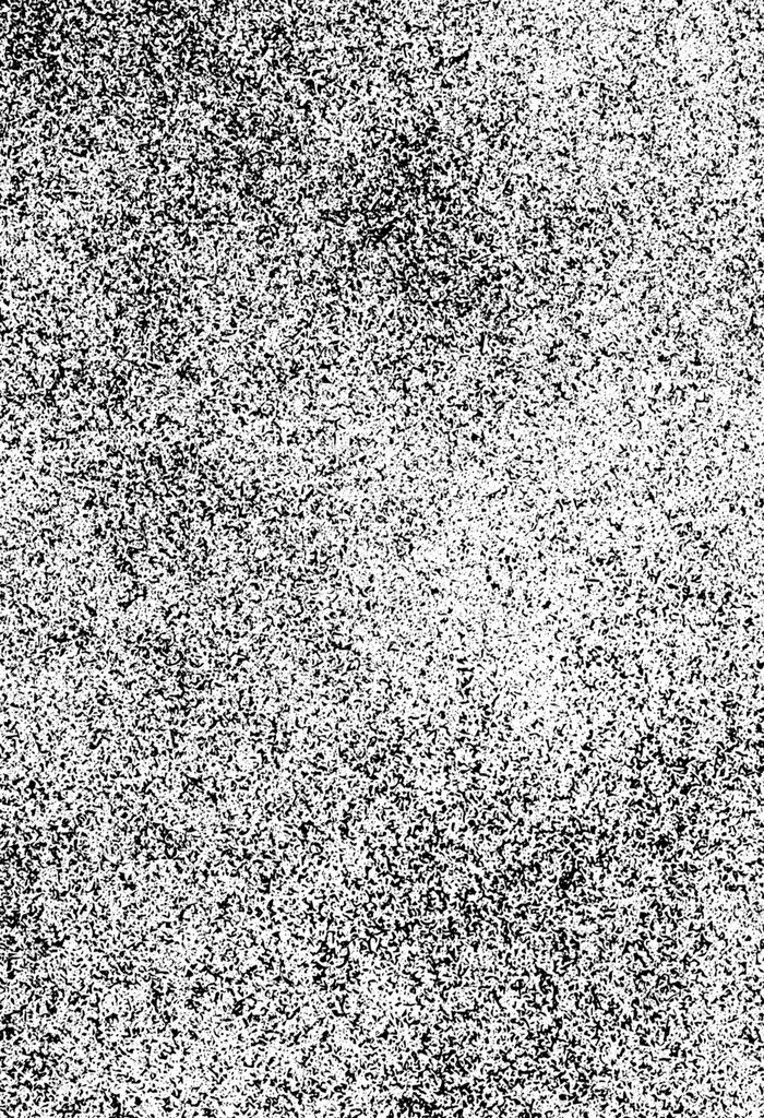 black and white photograph of an area that looks like it is covered in tiny speckles