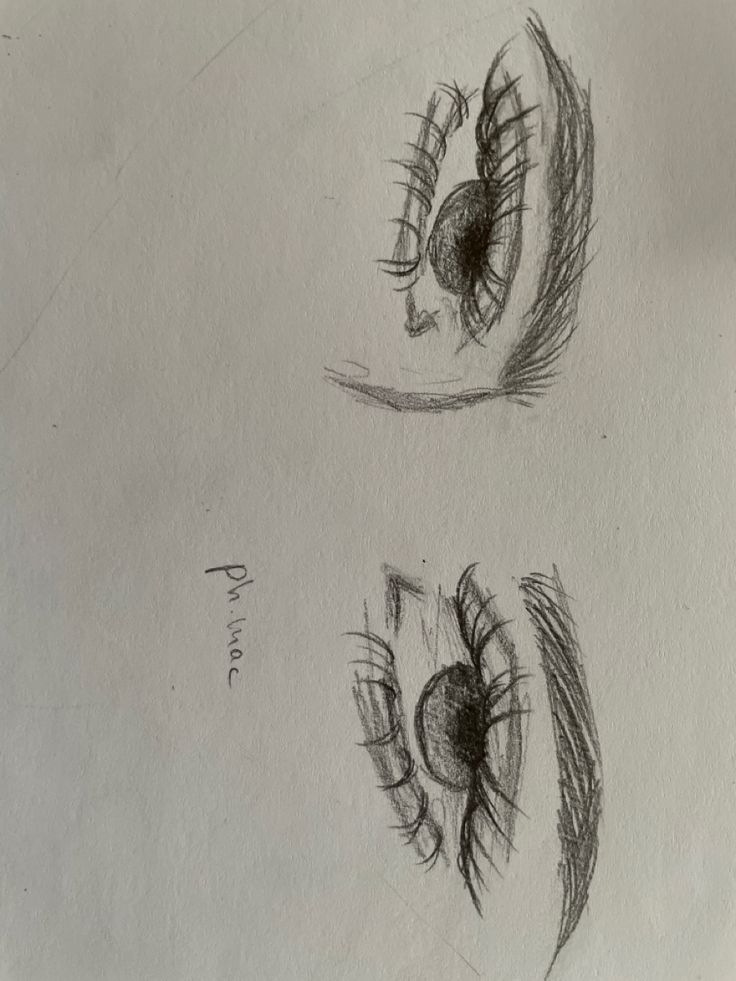 three different types of eyes drawn in pencil