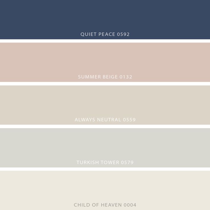 the color palettes for an interior paint scheme