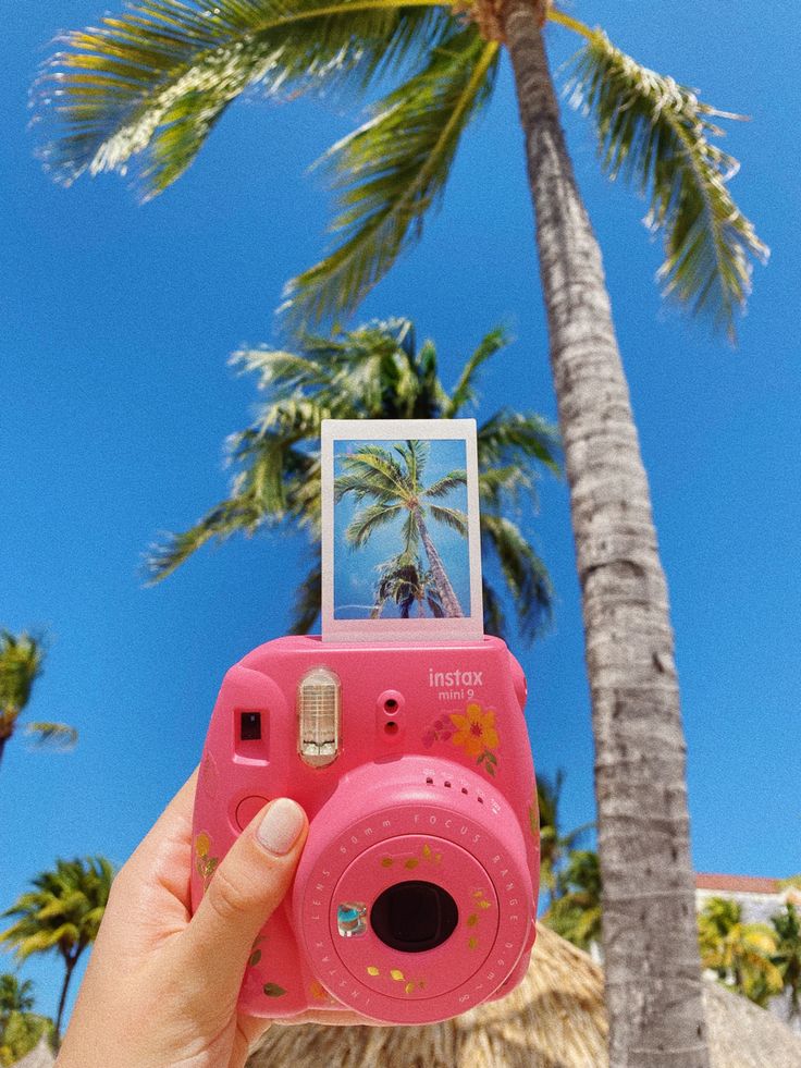 a person holding up a pink camera in front of a palm tree and blue sky