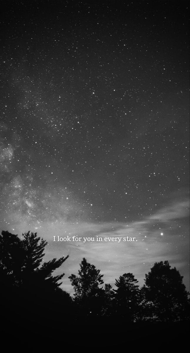 the night sky with stars and trees in it, saying look for you in every star