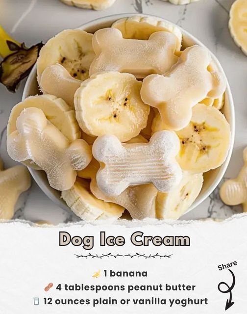 dog ice cream in a bowl with banana slices