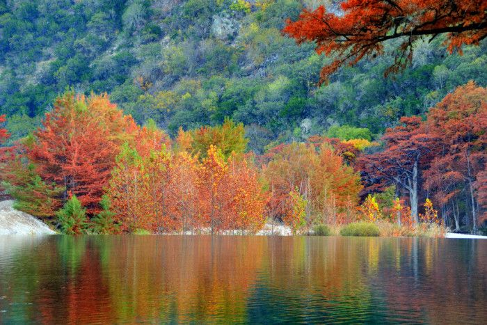 a lake surrounded by trees with red and yellow leaves