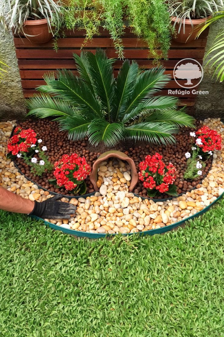 a garden with plants and rocks in it