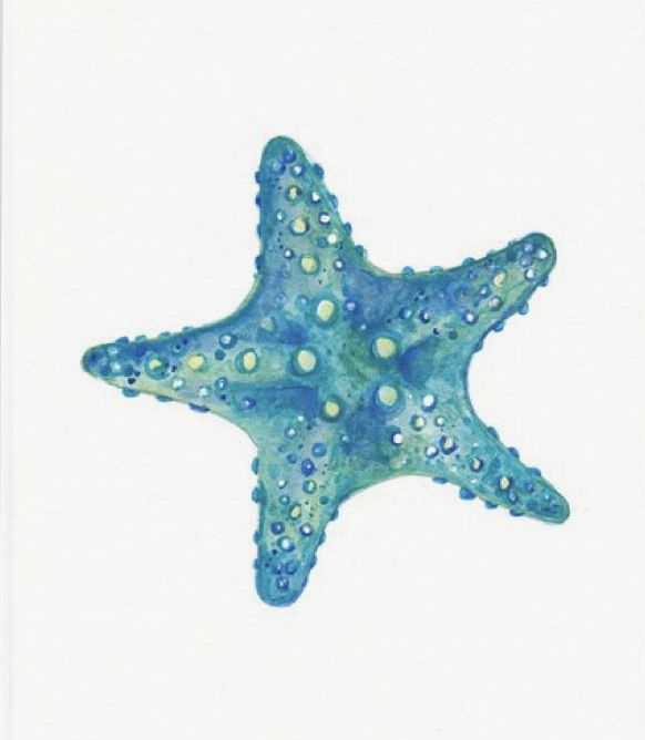 a watercolor drawing of a blue starfish