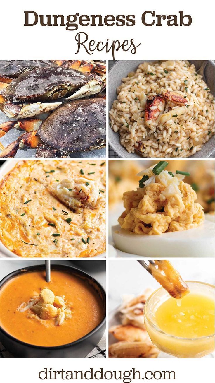 different types of food that include crab, rice and orange juice with text overlay