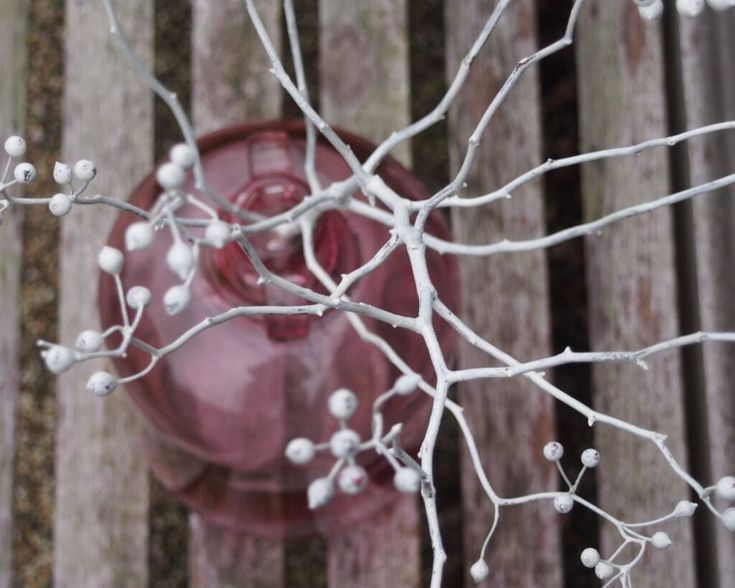 a red fire hydrant sitting next to a tree with white flowers on it's branches