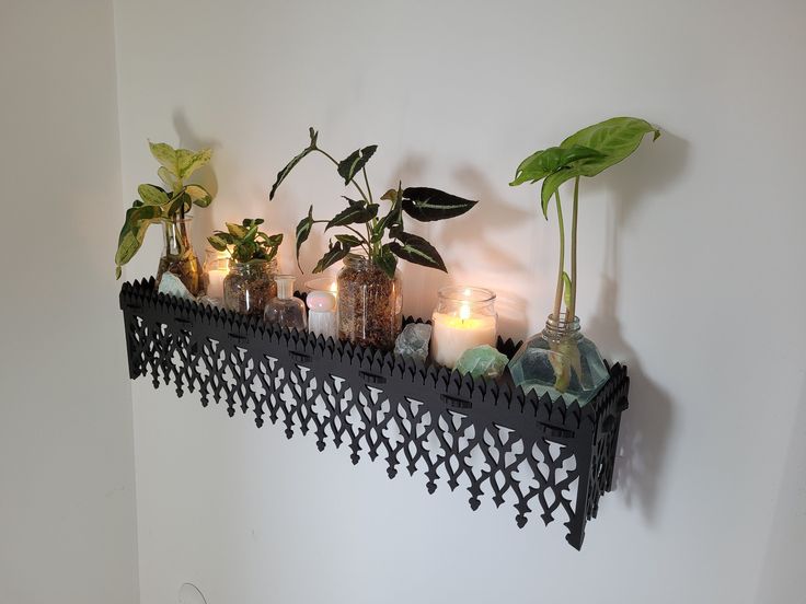 a shelf with candles and plants on it