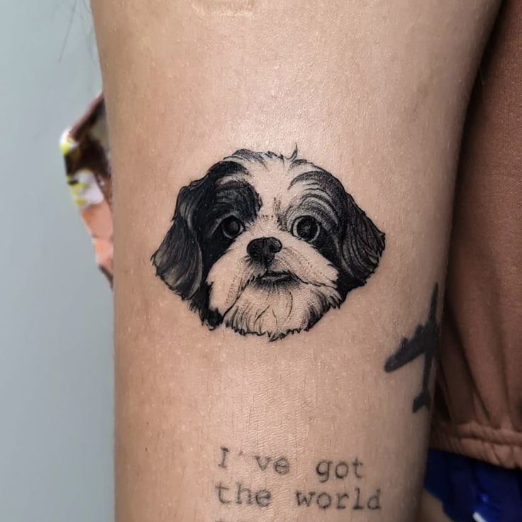 a small black and white dog with the words i've got the world on it