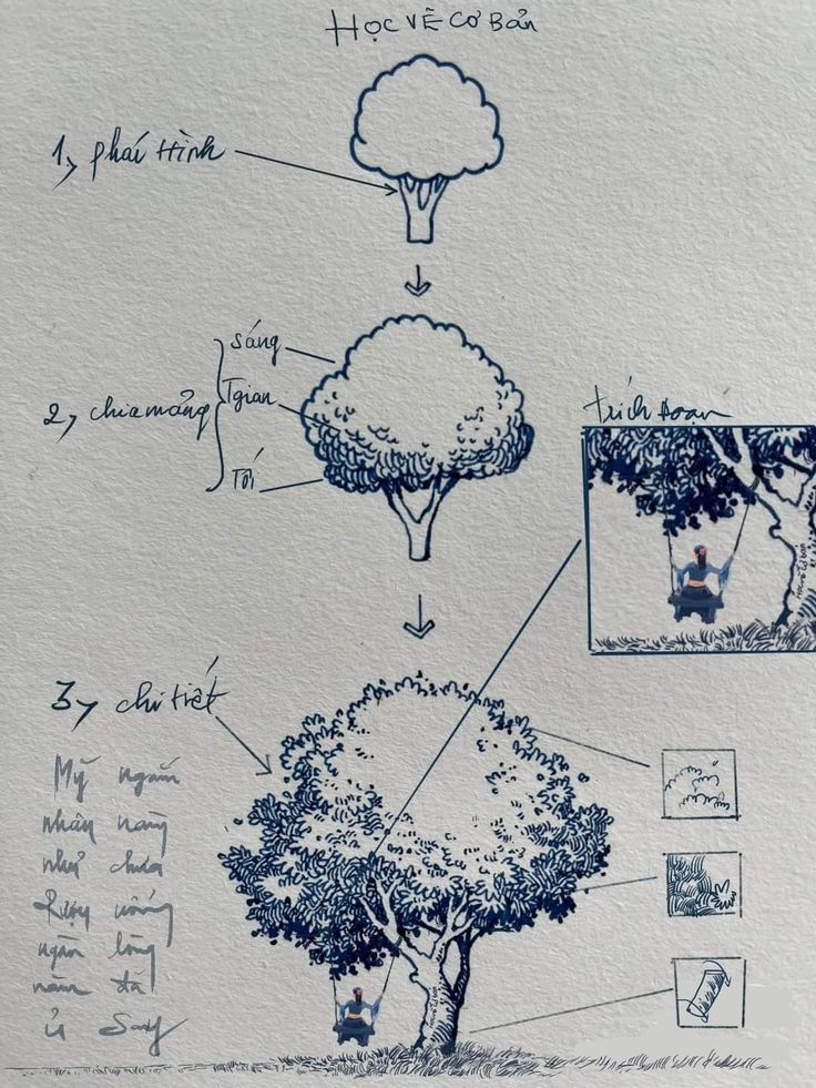 a drawing of a tree with its branches and leaves labeled in the top right corner