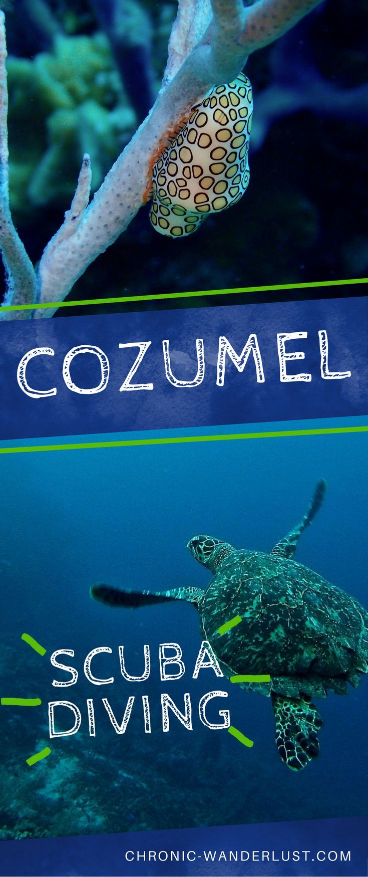 scuba diving in cozumel and scuba diving with sea turtle on the bottom right