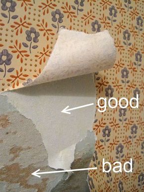 a roll of toilet paper sitting on top of a wall next to a piece of fabric