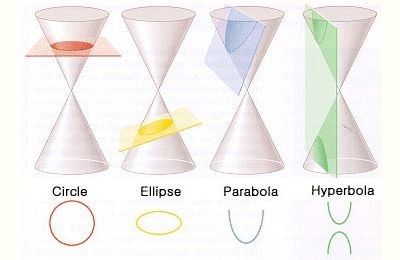 an image of different types of vases labeled in english and latin language on a white background