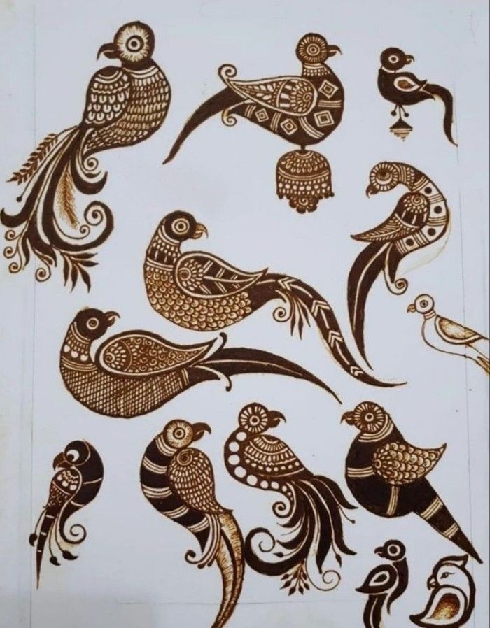 an image of some birds in brown and white