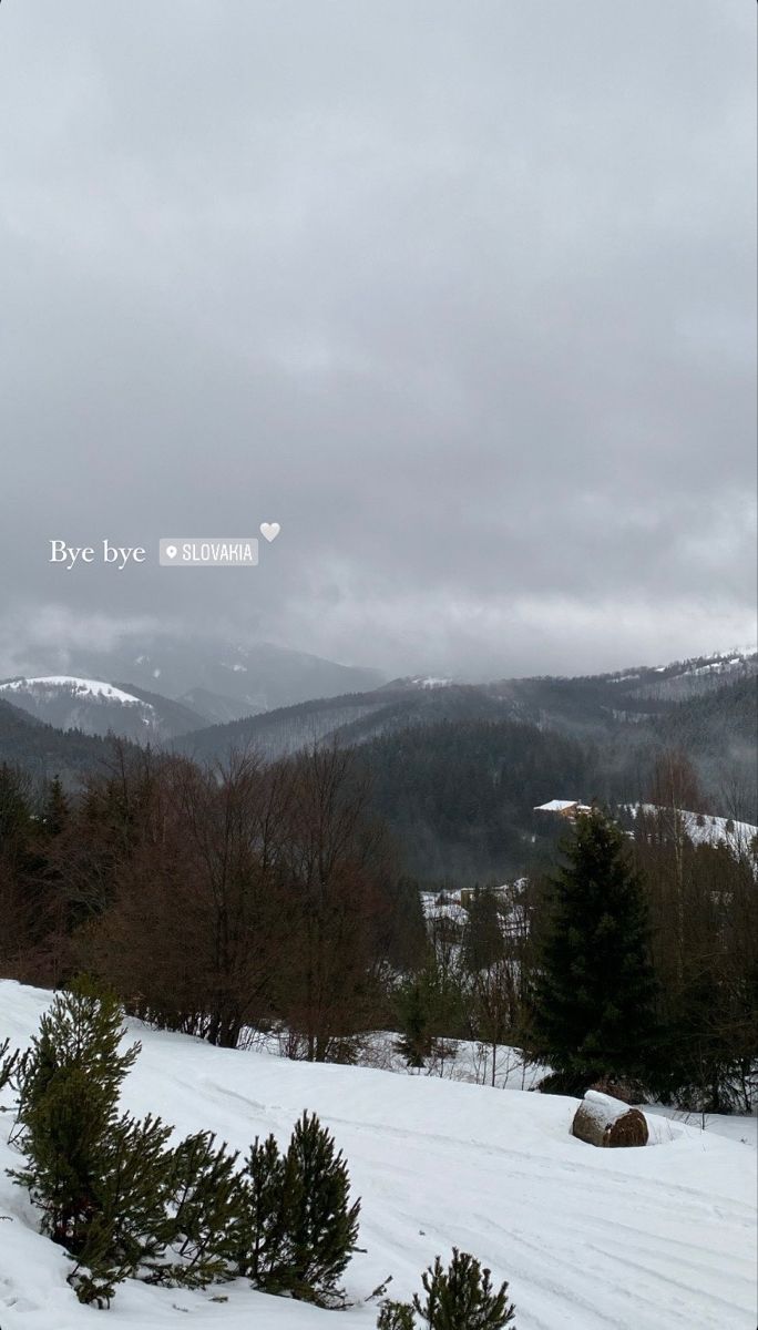 the mountains are covered in snow and trees