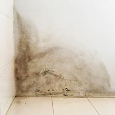 moldy walls and floor in a bathroom with white tiles on the wall, black moulds