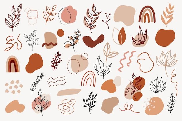 an assortment of different shapes and sizes of leaves