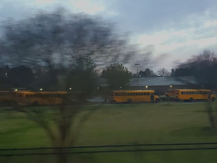 two school buses are parked in a grassy field at dusk, with trees and buildings in the background