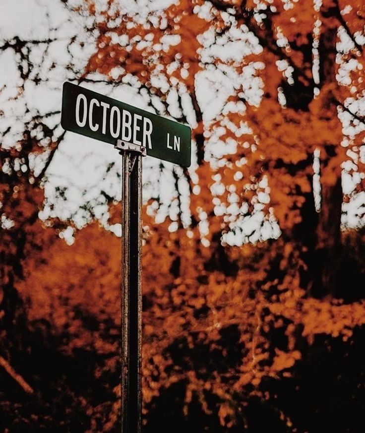 a close up of a street sign with trees in the background