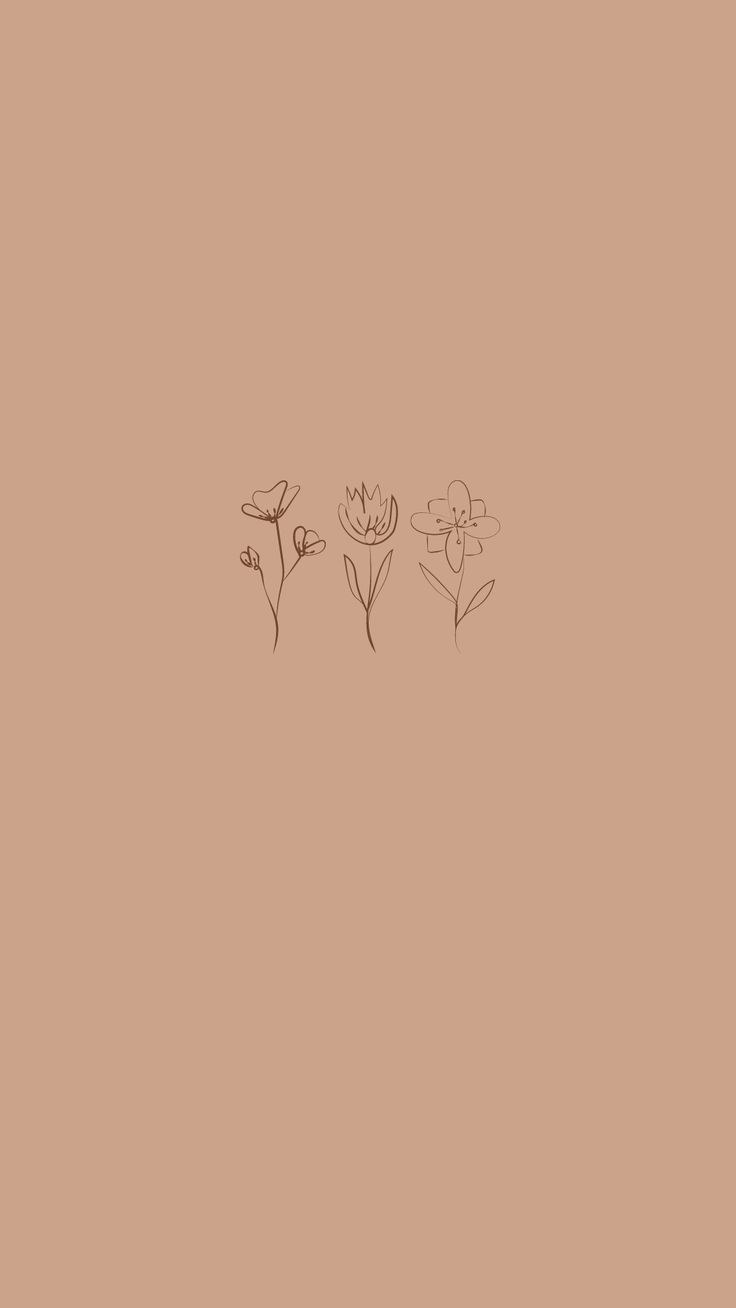 three small flowers on a brown background