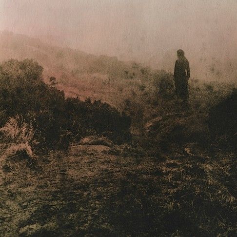 a man standing on top of a hill in the fog with trees and bushes behind him