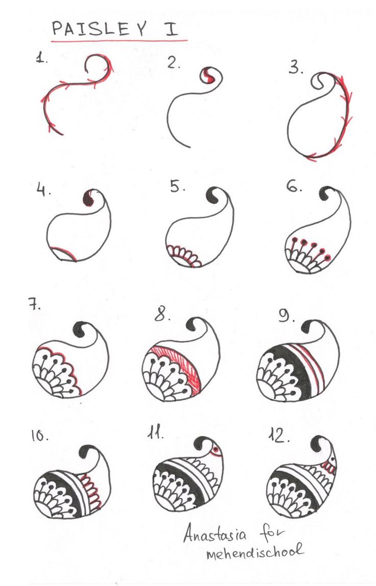 the instructions for how to draw an animal's face with different shapes and sizes