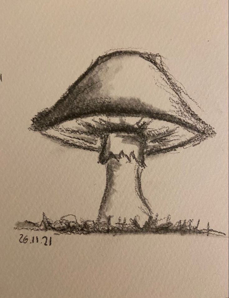 a drawing of a mushroom with a person under it