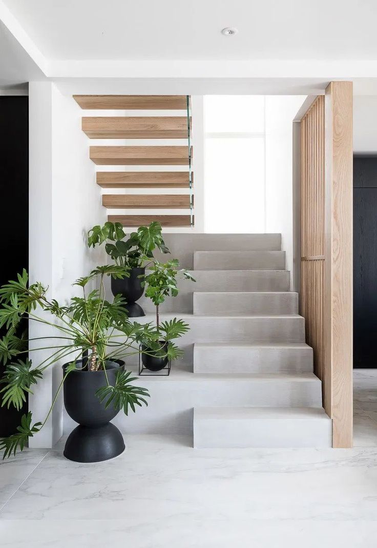 an instagram page with stairs and plants