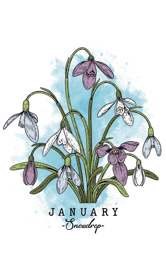 a drawing of some flowers with the words january on it's front and side