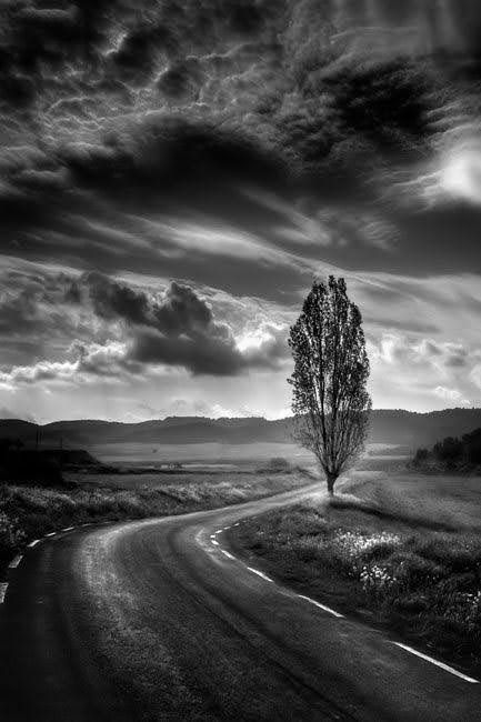 black and white photograph of a tree on the side of a road with clouds in the background