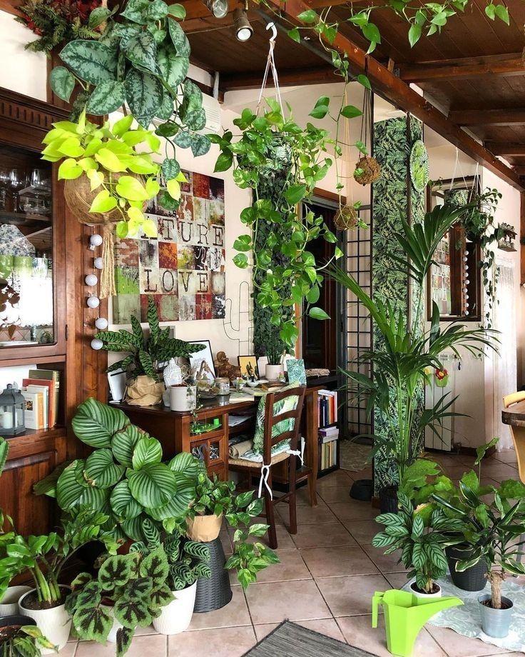 a room filled with lots of green plants and potted plants hanging from the ceiling