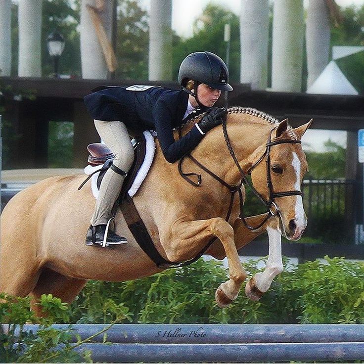 a woman riding on the back of a brown horse jumping over an obstacle with it's legs in the air