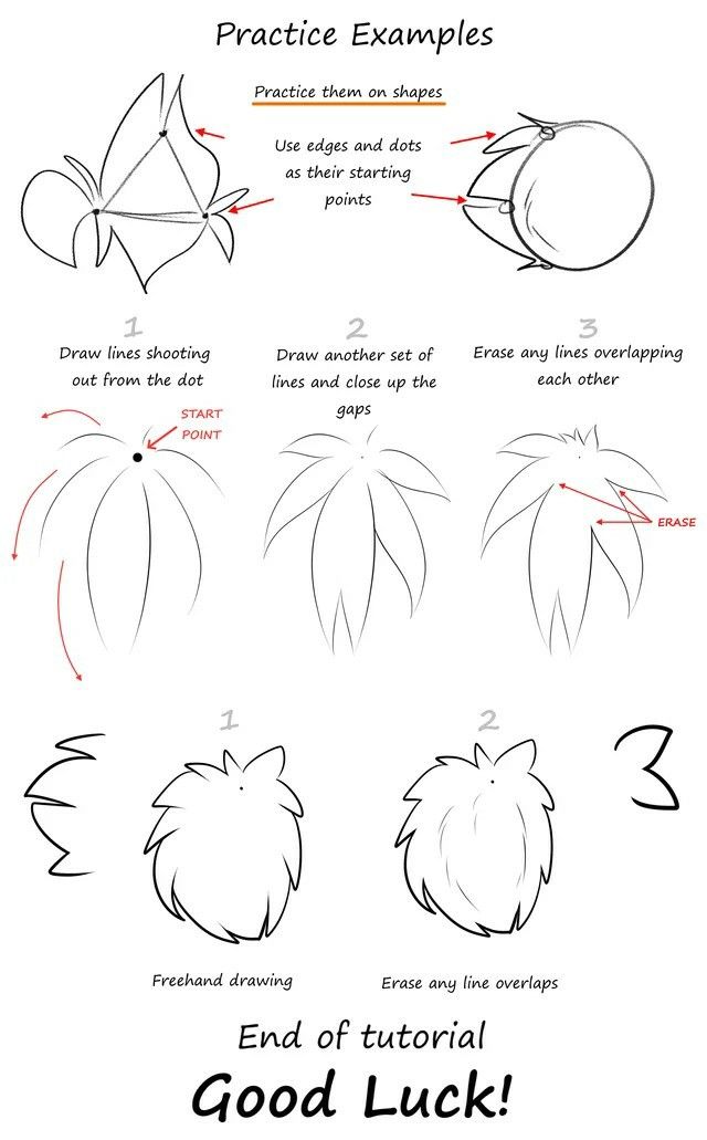 how to draw an animal's head with different angles and lines on the face