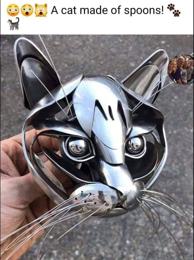 a hand holding a metal cat head on top of it's face with long whiskers